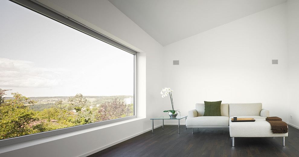 Источник вдохновения для домашнего уюта: изолированная гостиная комната среднего размера в современном стиле с белыми стенами и темным паркетным полом без камина