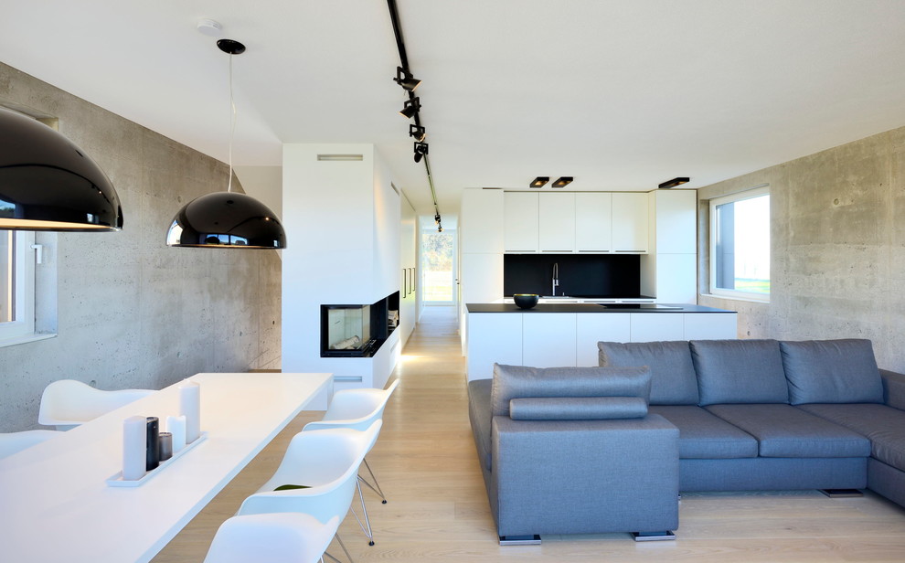 Example of a minimalist living room design in Munich