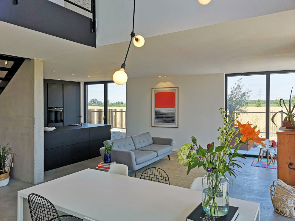 Immagine di un soggiorno design aperto con pavimento in cemento e pavimento grigio