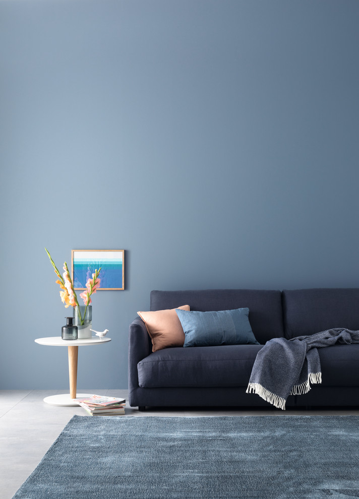 Modernes Wohnzimmer mit blauer Wandfarbe in Hamburg