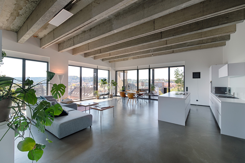Geräumiges, Repräsentatives Industrial Wohnzimmer im Loft-Stil mit Betonboden, grauem Boden und weißer Wandfarbe in Sonstige