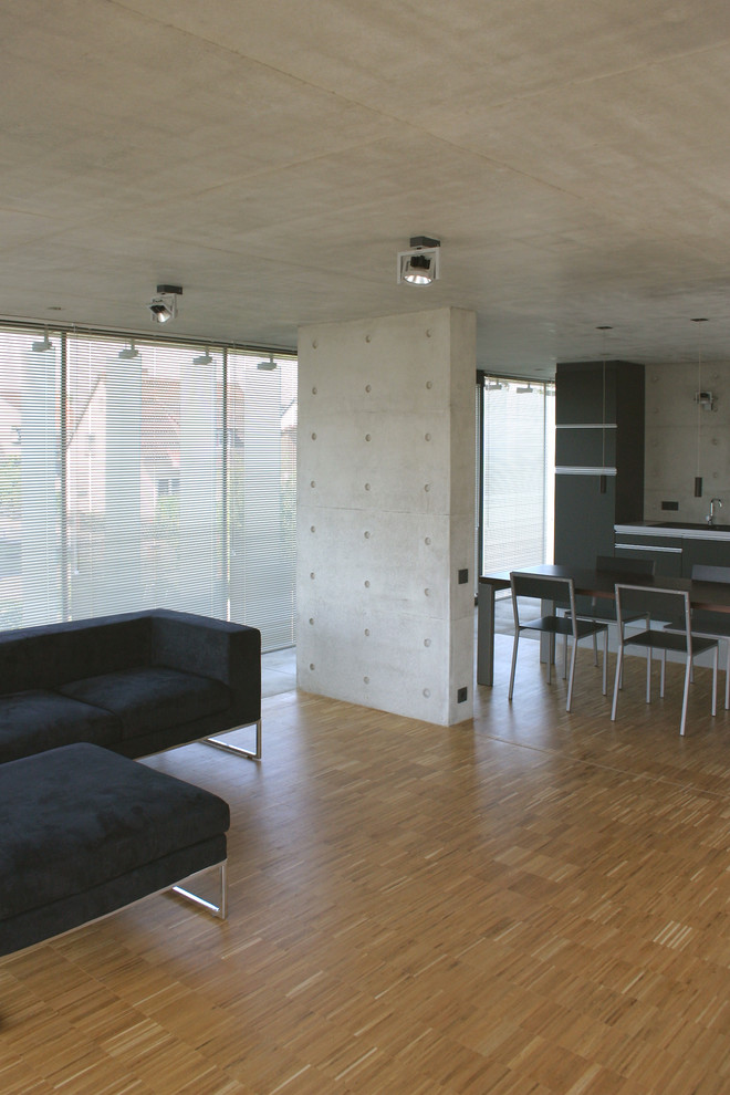 Große, Fernseherlose, Offene Moderne Bibliothek ohne Kamin mit grauer Wandfarbe, hellem Holzboden und beigem Boden in Hannover