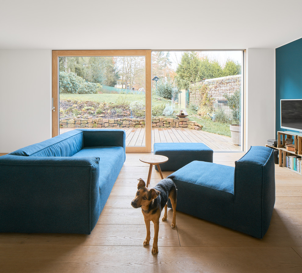 This is an example of a modern formal open plan living room in Frankfurt with blue walls, light hardwood flooring, no fireplace, a wall mounted tv and beige floors.