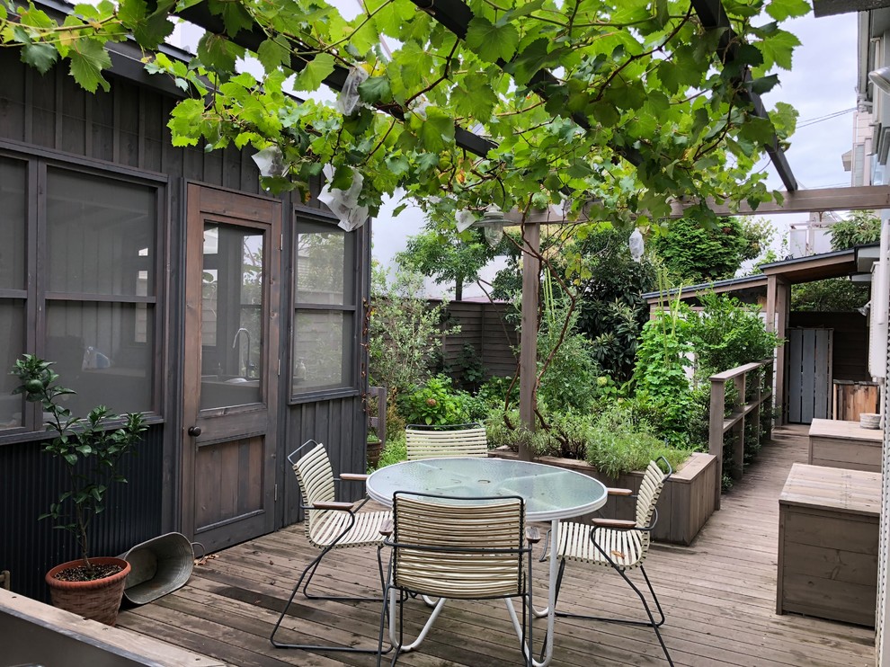 На фото: пергола на террасе на заднем дворе в современном стиле с растениями в контейнерах
