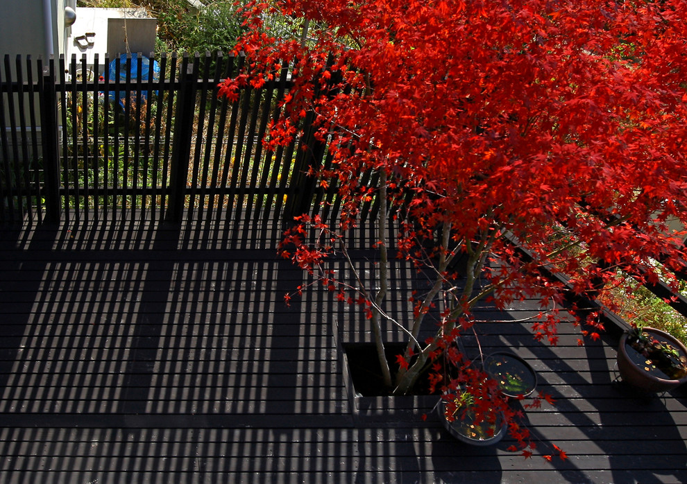 Foto de terraza de estilo zen de tamaño medio sin cubierta en patio lateral