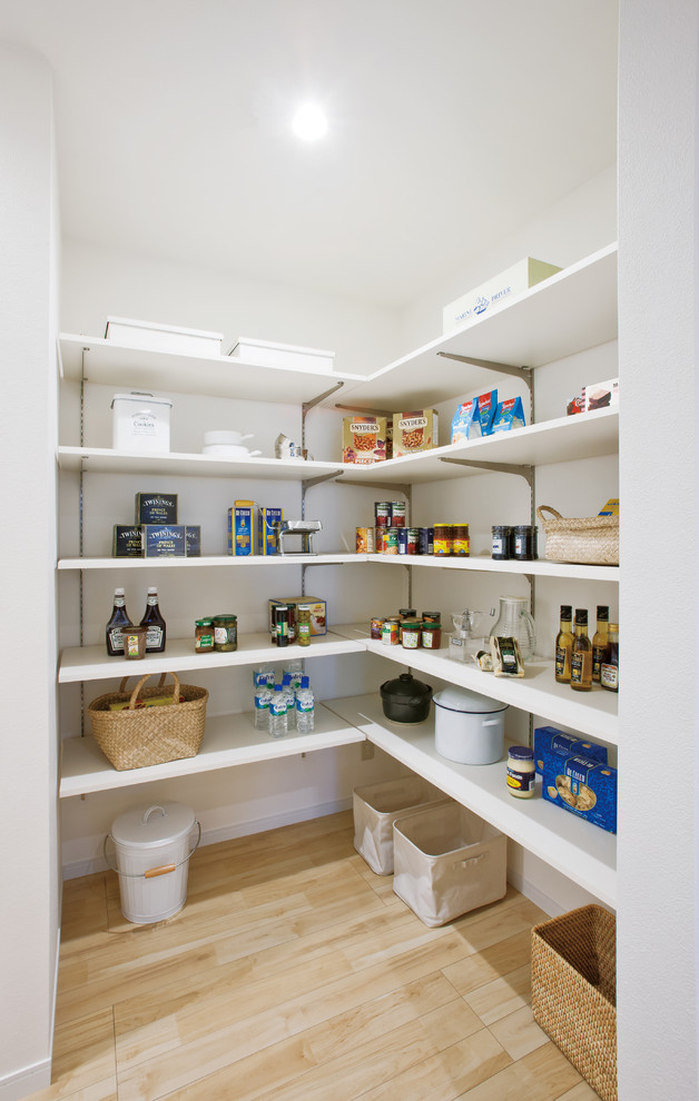 This is an example of a modern kitchen pantry in Other.