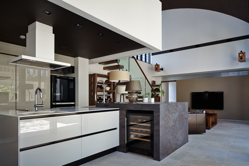 Стильный дизайн: параллельная кухня-гостиная в стиле неоклассика (современная классика) с двойной мойкой, плоскими фасадами, белыми фасадами и островом - последний тренд