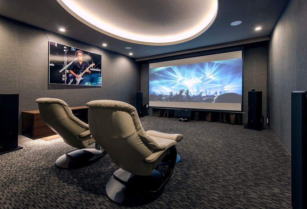 Cette photo montre une salle de cinéma tendance avec un mur gris, moquette et un écran de projection.