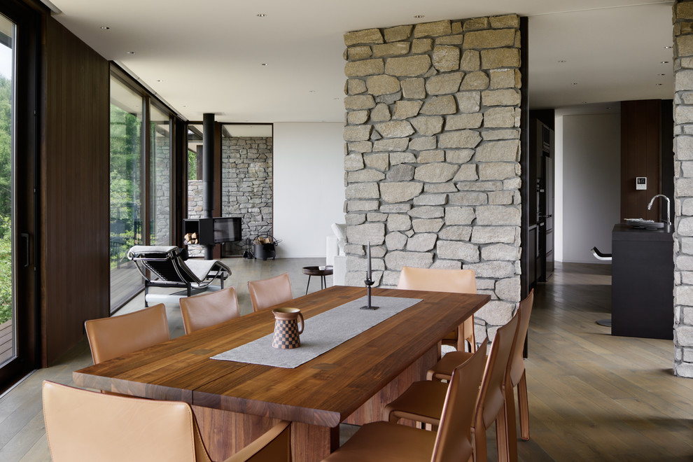 Идея дизайна: гостиная-столовая в стиле модернизм с белыми стенами, деревянным полом, печью-буржуйкой, фасадом камина из камня и серым полом