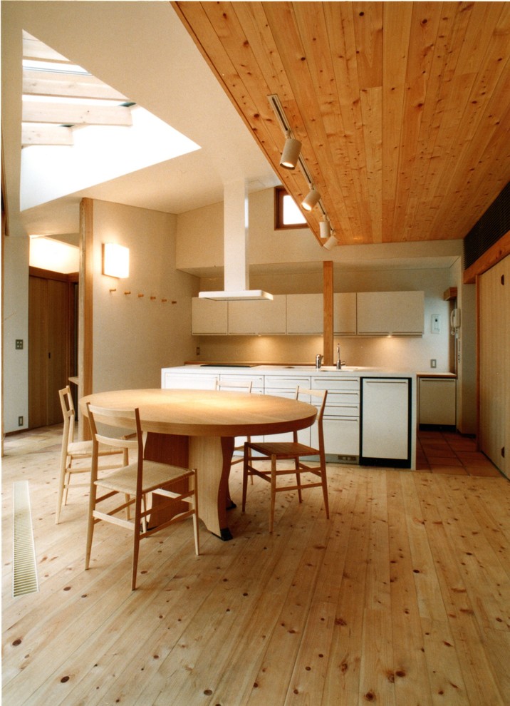 Diseño de comedor de cocina moderno con paredes blancas y suelo de madera en tonos medios