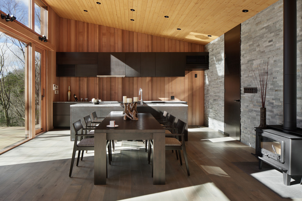 Offenes Modernes Esszimmer mit bunten Wänden, gebeiztem Holzboden, grauem Boden und Kaminofen in Sonstige