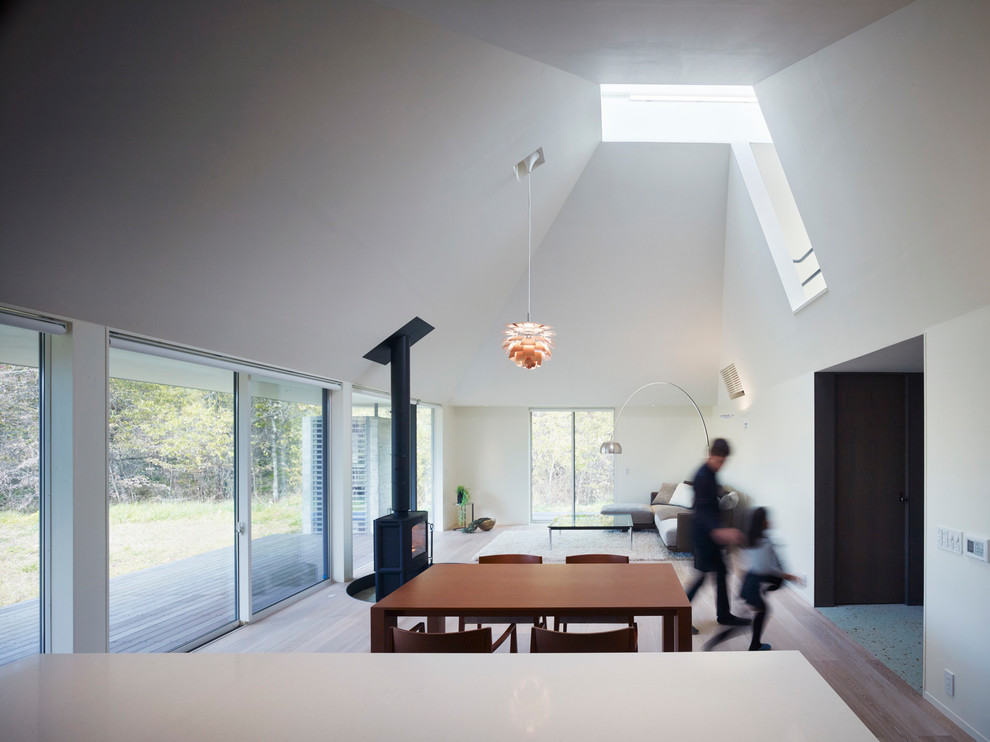 Источник вдохновения для домашнего уюта: столовая в стиле модернизм с белыми стенами, светлым паркетным полом и печью-буржуйкой