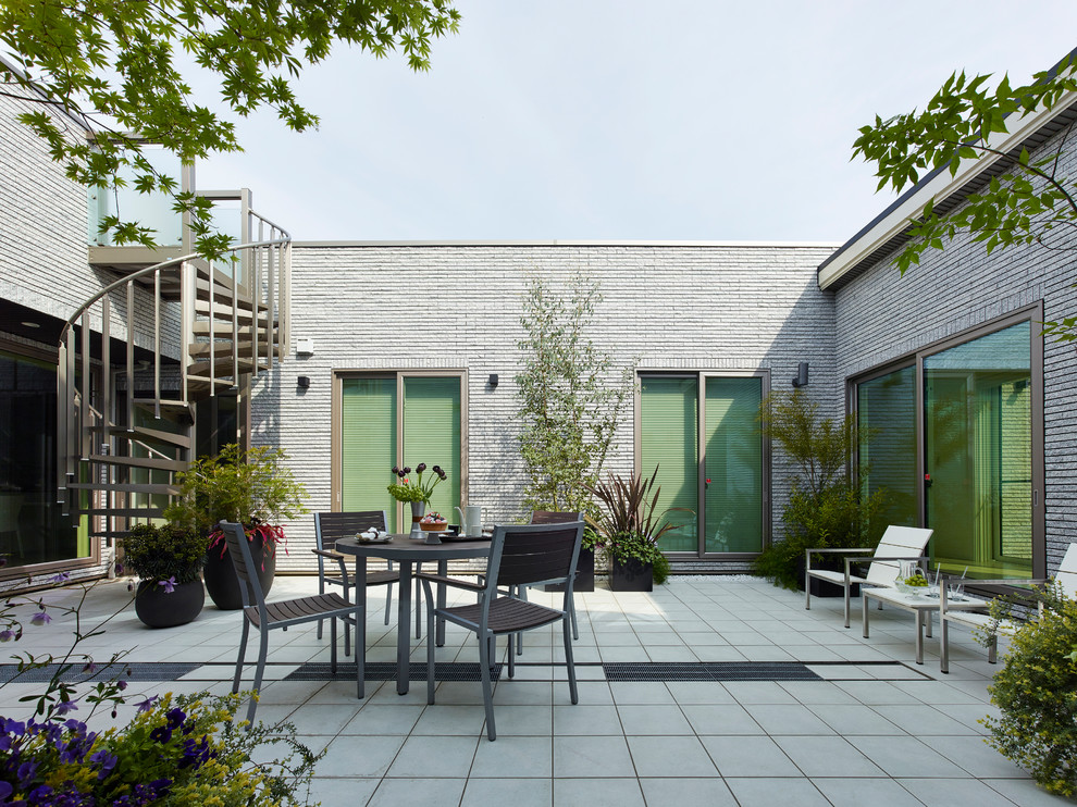 Idées déco pour une terrasse avec des plantes en pots contemporaine avec une cour, des pavés en béton et aucune couverture.