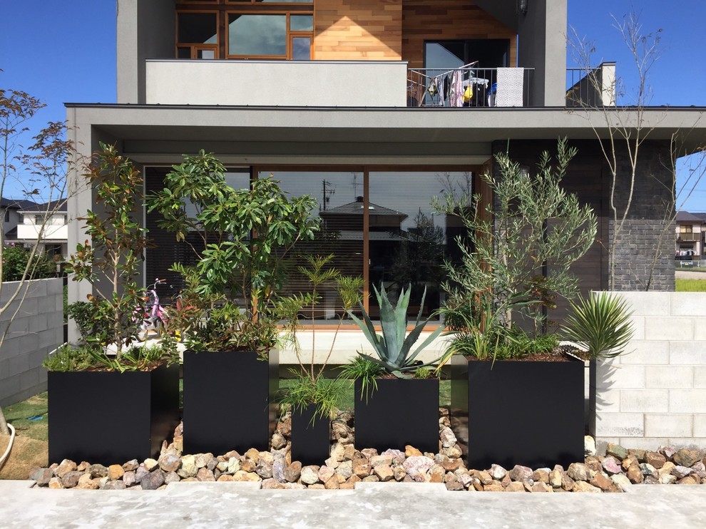 Idée de décoration pour une terrasse avec des plantes en pots avant urbaine de taille moyenne avec aucune couverture.