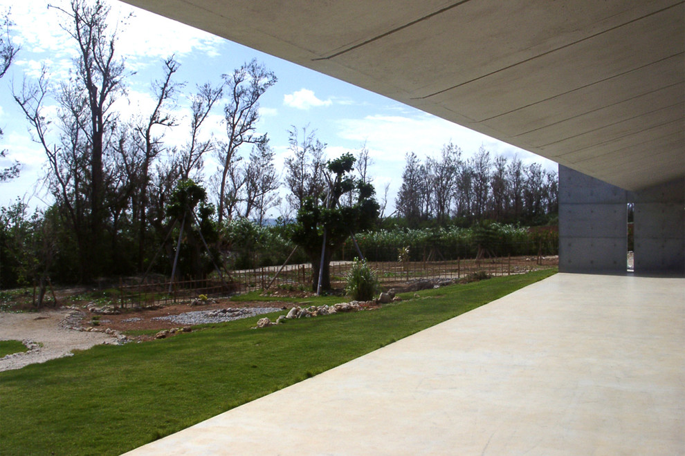 Immagine di un patio o portico industriale davanti casa con pavimentazioni in cemento e un tetto a sbalzo