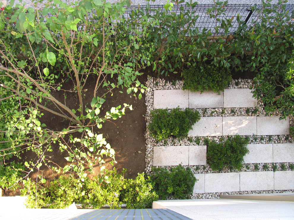 Foto de patio contemporáneo en patio delantero con jardín de macetas y adoquines de piedra natural