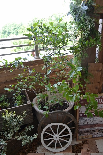 大阪府Ｏ様邸 これがマンションのお庭？？ベランダリフォーム大作戦!! - Farmhouse - Balcony - Osaka | Houzz