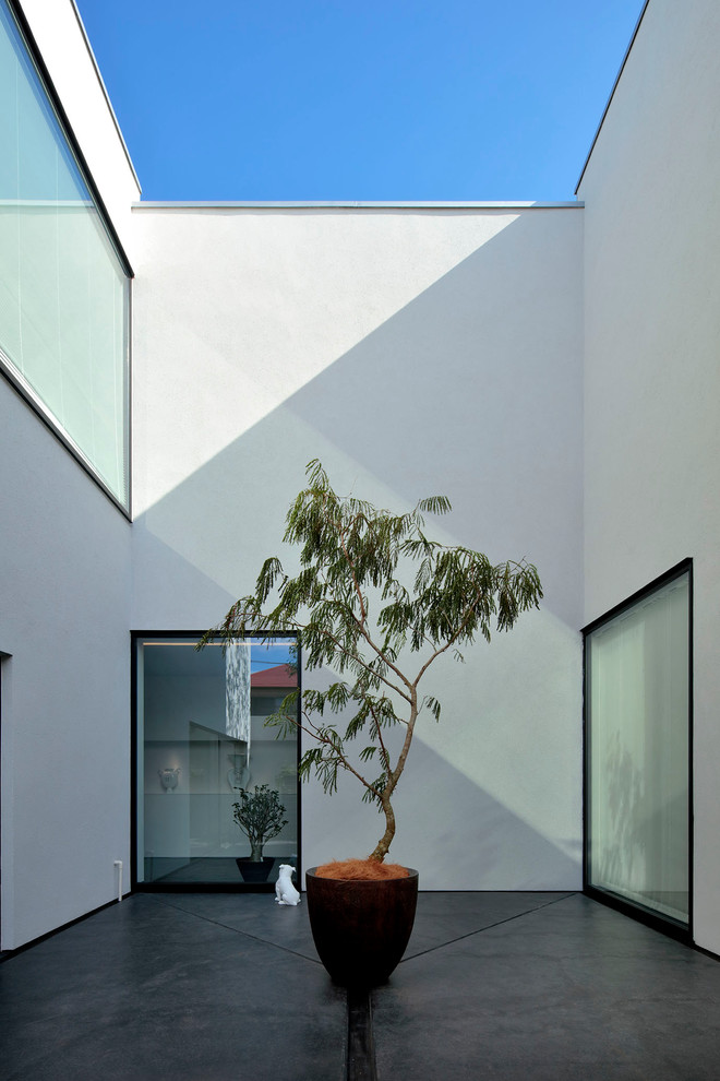 Пример оригинального дизайна: двор на внутреннем дворе в стиле модернизм