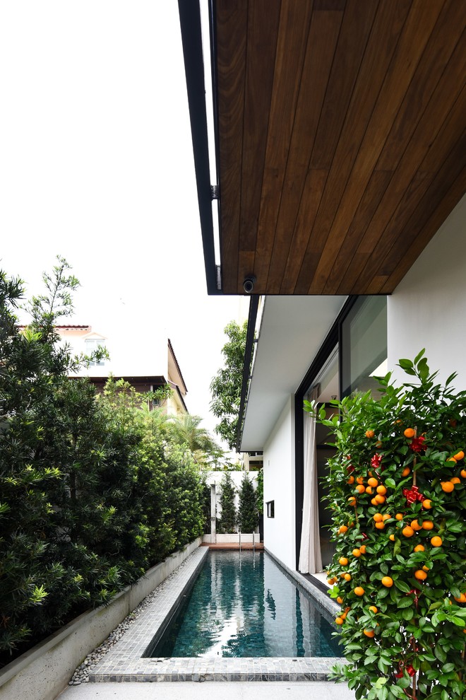 Inspiration for a modern back rectangular lengths swimming pool in Singapore with tiled flooring.