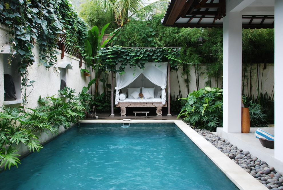 Inspiration for a tropical pool remodel in Other