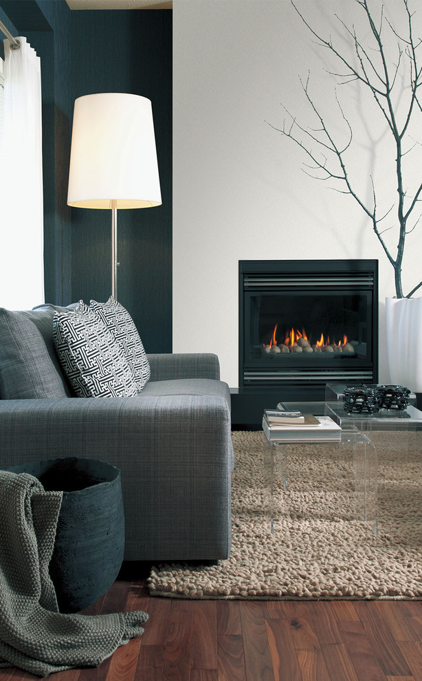 Inspiration for a contemporary living room in Other with white walls, dark hardwood flooring and a standard fireplace.