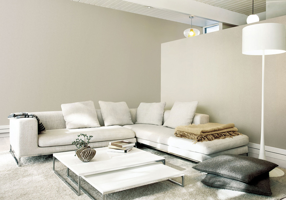 Inspiration for a modern living room remodel in Other