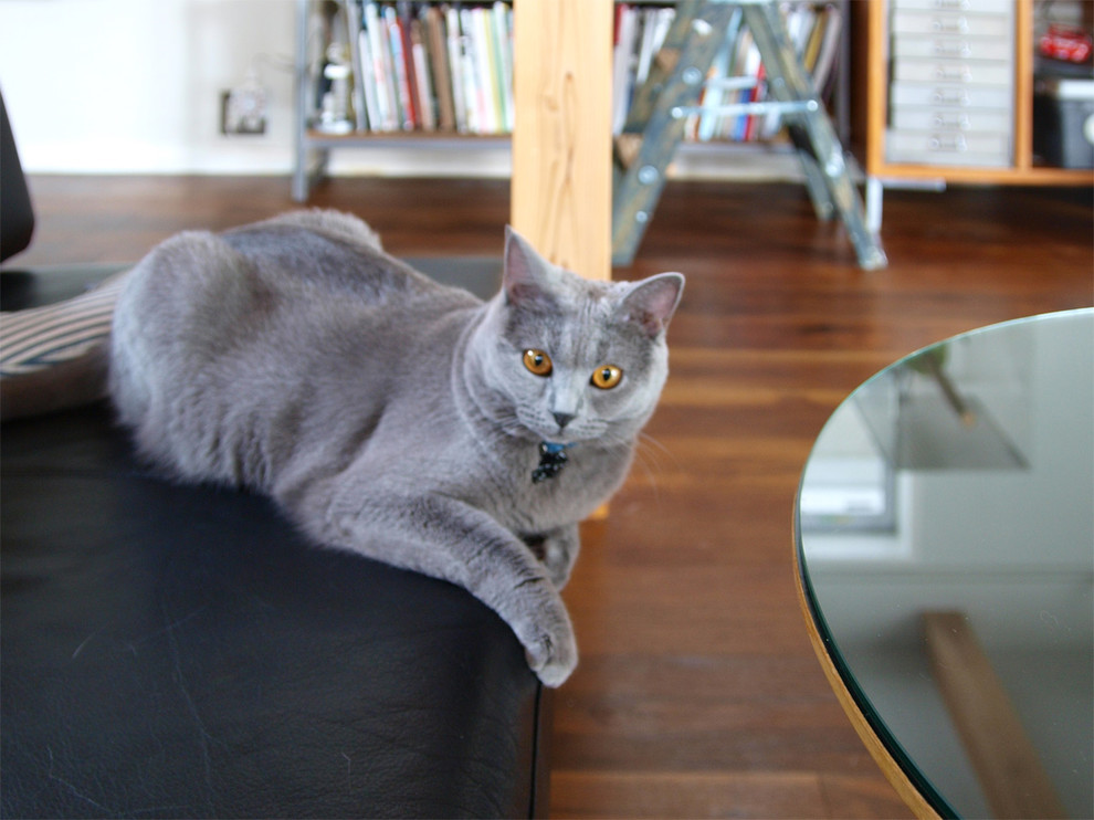 Example of a 1960s dark wood floor living room design in Tokyo