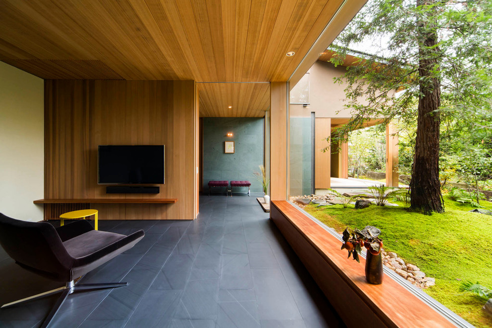 Asiatisches Wohnzimmer mit TV-Wand und bunten Wänden in Sonstige