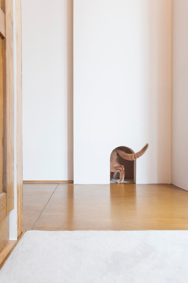 Mittelgroßes, Repräsentatives, Offenes Modernes Wohnzimmer ohne Kamin mit weißer Wandfarbe und braunem Holzboden in Tokio