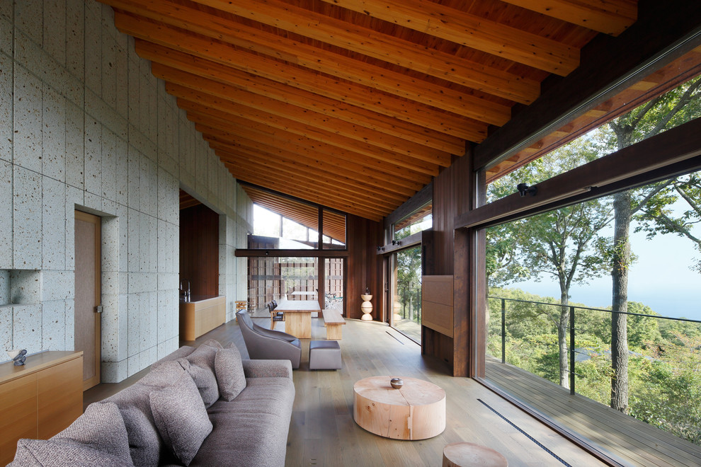 Modernes Wohnzimmer mit hellem Holzboden in Sonstige