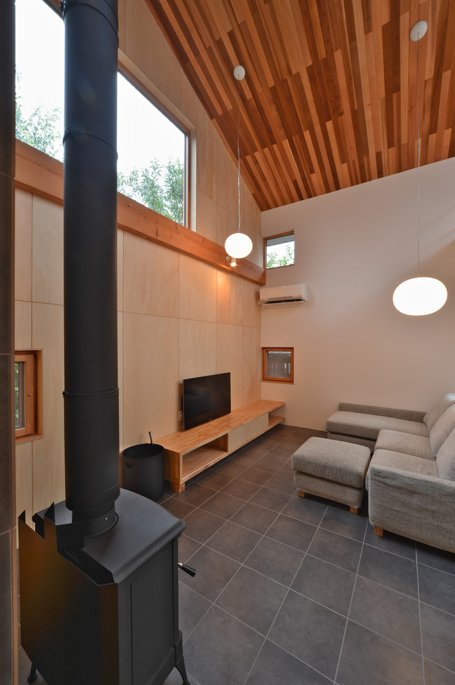 Idee per un soggiorno minimalista con stufa a legna