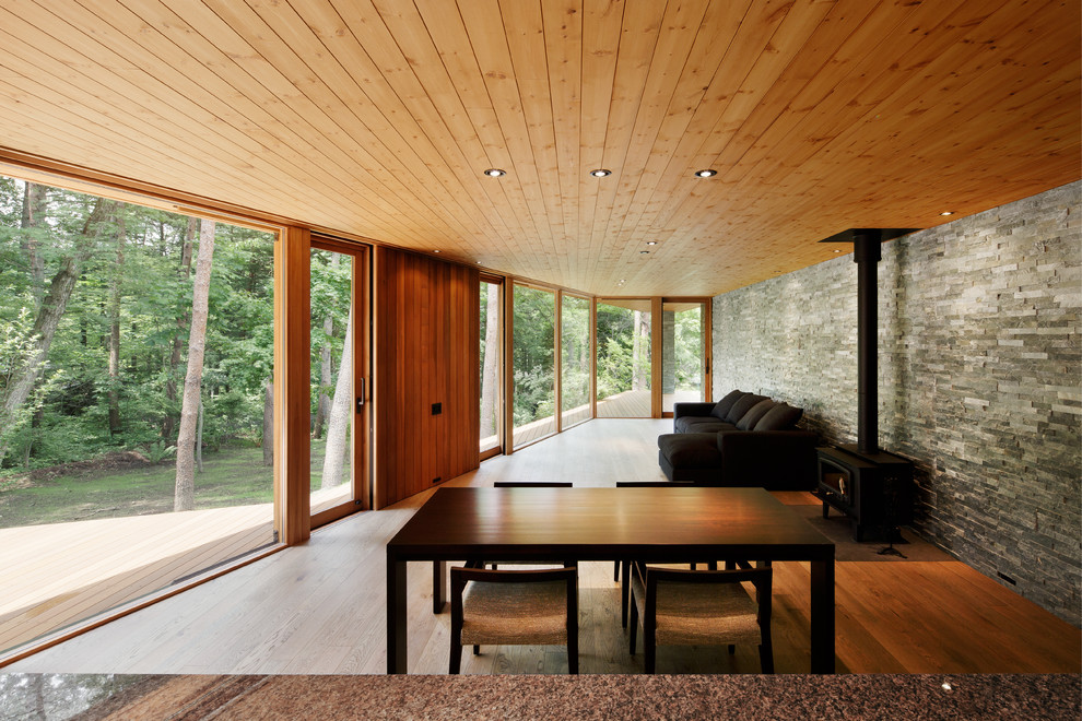 Ispirazione per un soggiorno design aperto con pareti grigie, pavimento in legno massello medio e stufa a legna