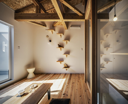 猫と暮らすおしゃれな部屋の実例は?