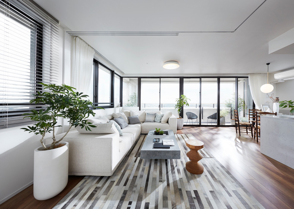 Imagen de salón contemporáneo con paredes blancas y suelo de madera en tonos medios
