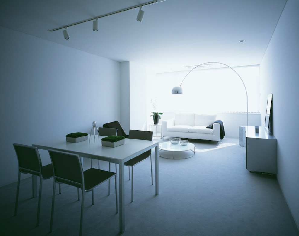 Cette image montre un salon gris et blanc minimaliste ouvert et de taille moyenne avec une salle de réception, un mur blanc, moquette, un sol gris, un plafond en papier peint et du papier peint.