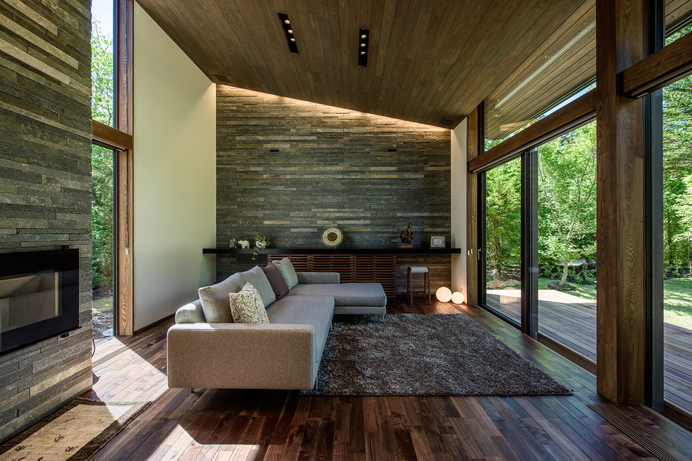 Offenes Modernes Wohnzimmer mit bunten Wänden, dunklem Holzboden, Kamin, Kaminumrandung aus Stein und braunem Boden in Sonstige