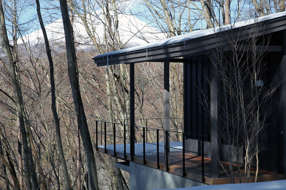 他の地域にあるモダンスタイルのおしゃれな家の外観 (メタルサイディング、混合材屋根) の写真