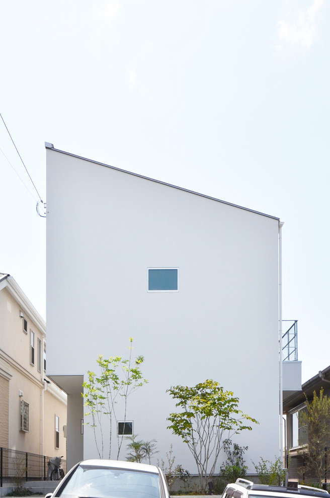 Réalisation d'une façade de maison blanche minimaliste avec un toit en appentis.