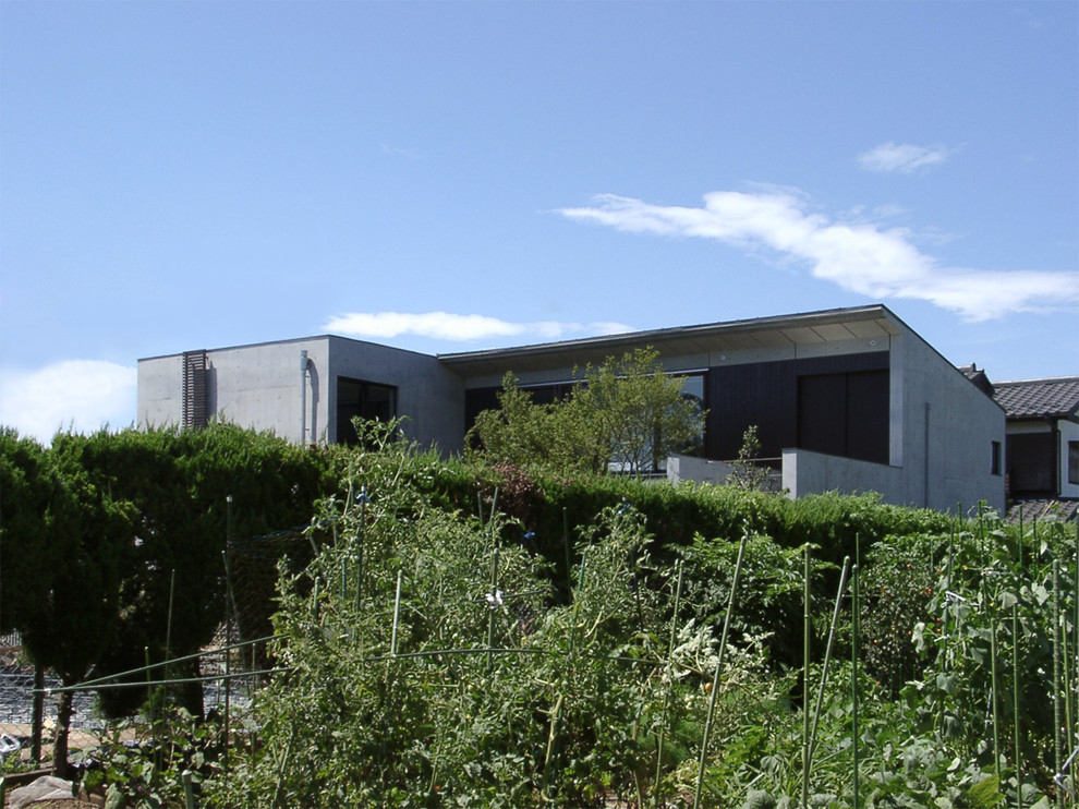 Ispirazione per la casa con tetto a falda unica grigio contemporaneo a due piani con rivestimento in cemento