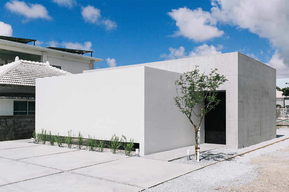 Пример оригинального дизайна: одноэтажный, белый частный загородный дом в стиле лофт с облицовкой из бетона и плоской крышей