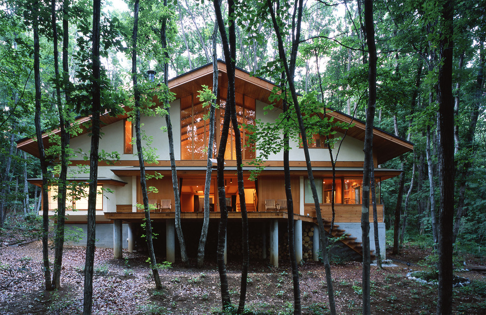Идея дизайна: белый дом в японском стиле в восточном стиле с односкатной крышей