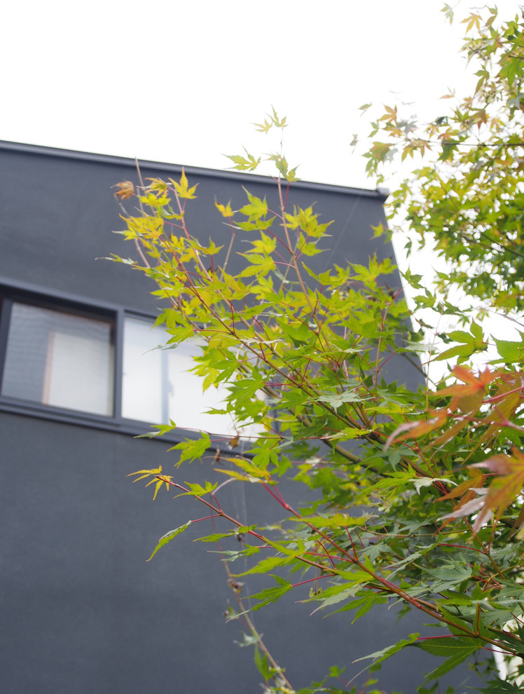 東京23区にある中くらいなアジアンスタイルのおしゃれな家の外観 (漆喰サイディング) の写真