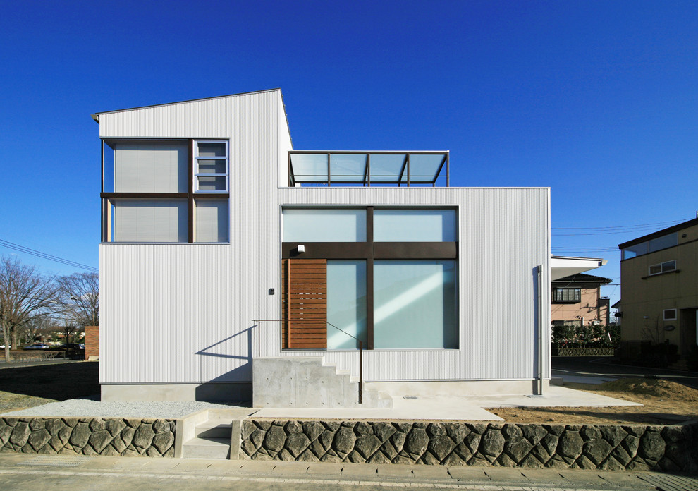 Cette image montre une façade de maison métallique et grise minimaliste à un étage avec un toit en appentis.