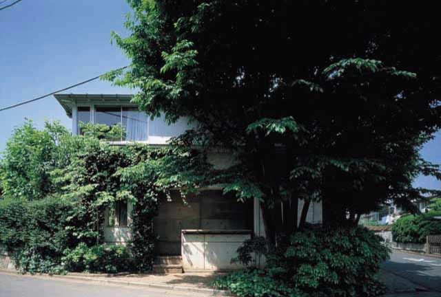 東京都下にあるトロピカルスタイルのおしゃれな家の外観の写真
