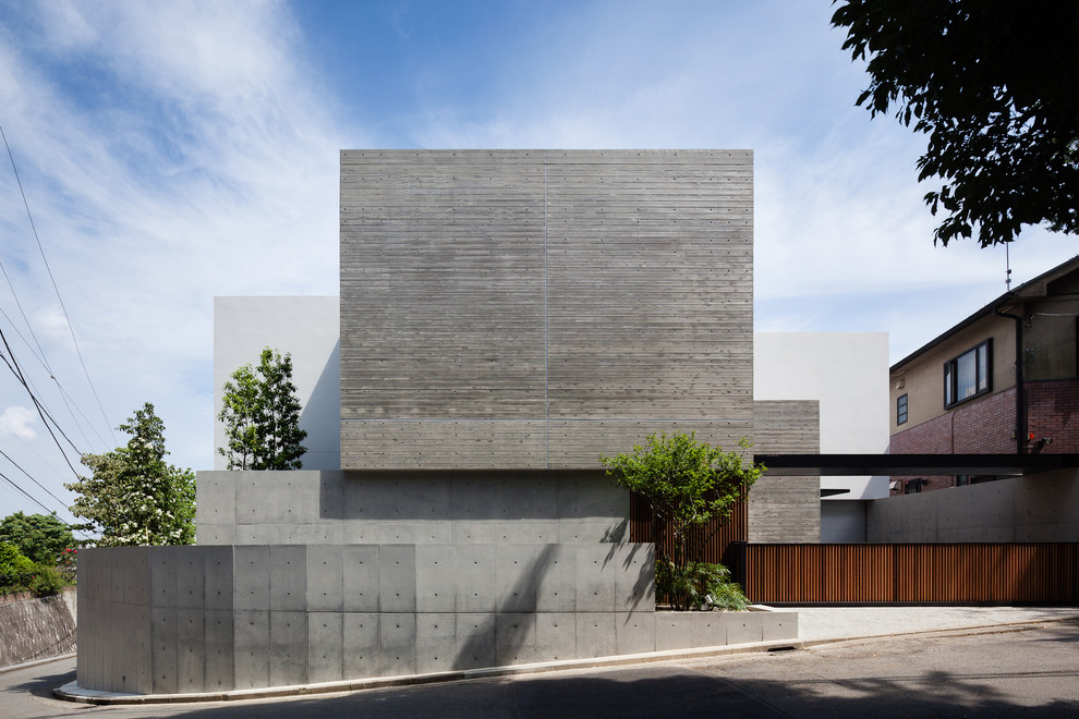 Modelo de fachada gris contemporánea con revestimiento de hormigón y tejado plano