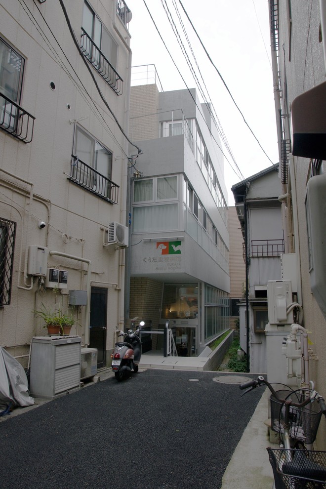 横浜にあるモダンスタイルのおしゃれな家の外観 (コンクリートサイディング) の写真