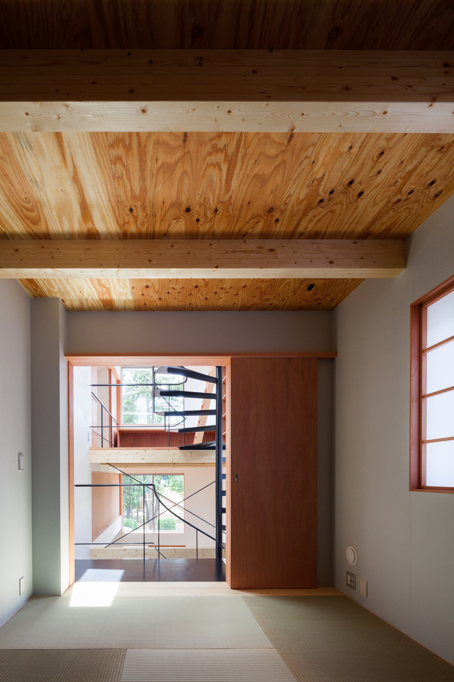 Ispirazione per una piccola camera degli ospiti moderna con pareti blu, pavimento in tatami, nessun camino e pavimento verde