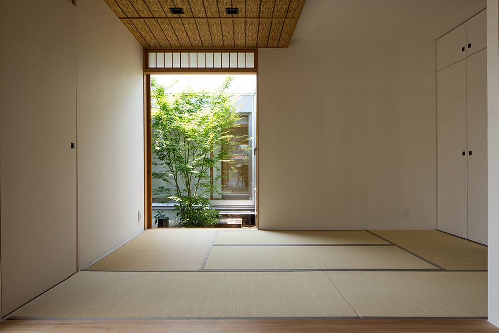 Immagine di una camera degli ospiti etnica di medie dimensioni con pareti bianche, pavimento in tatami, nessun camino e pavimento beige