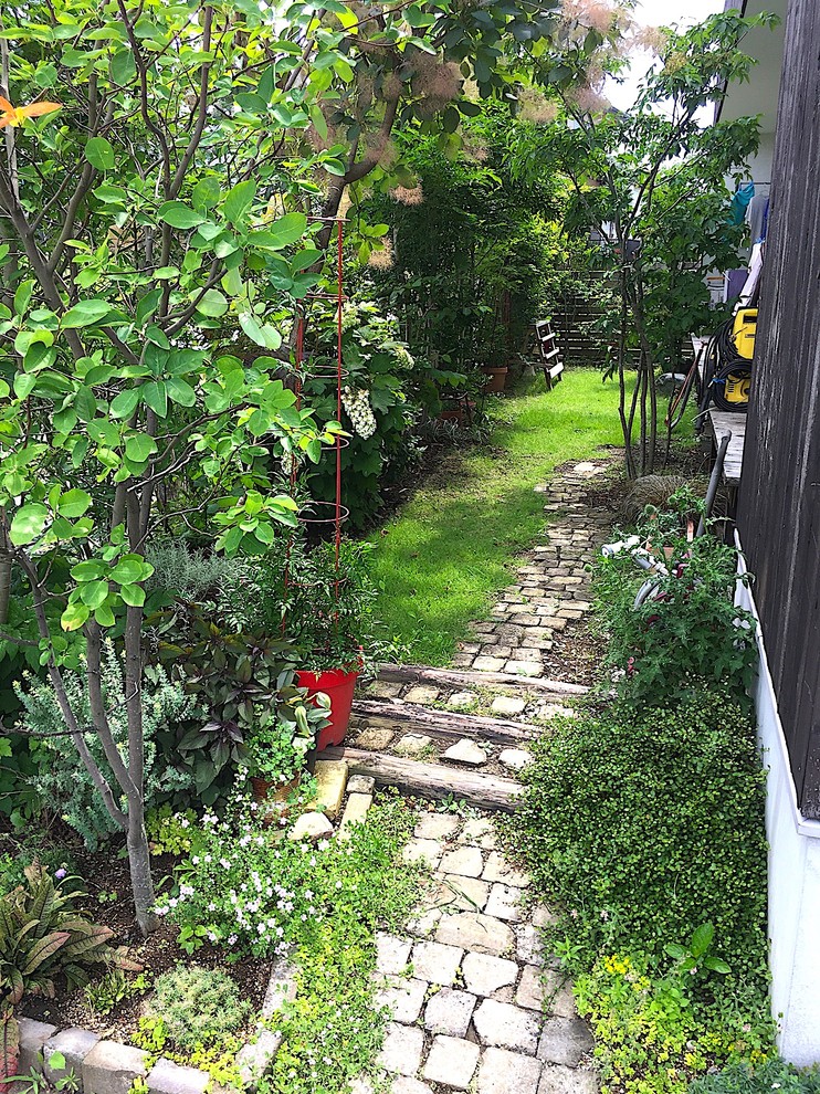 Cette image montre un petit jardin avant minimaliste l'été avec une exposition ensoleillée et des pavés en pierre naturelle.