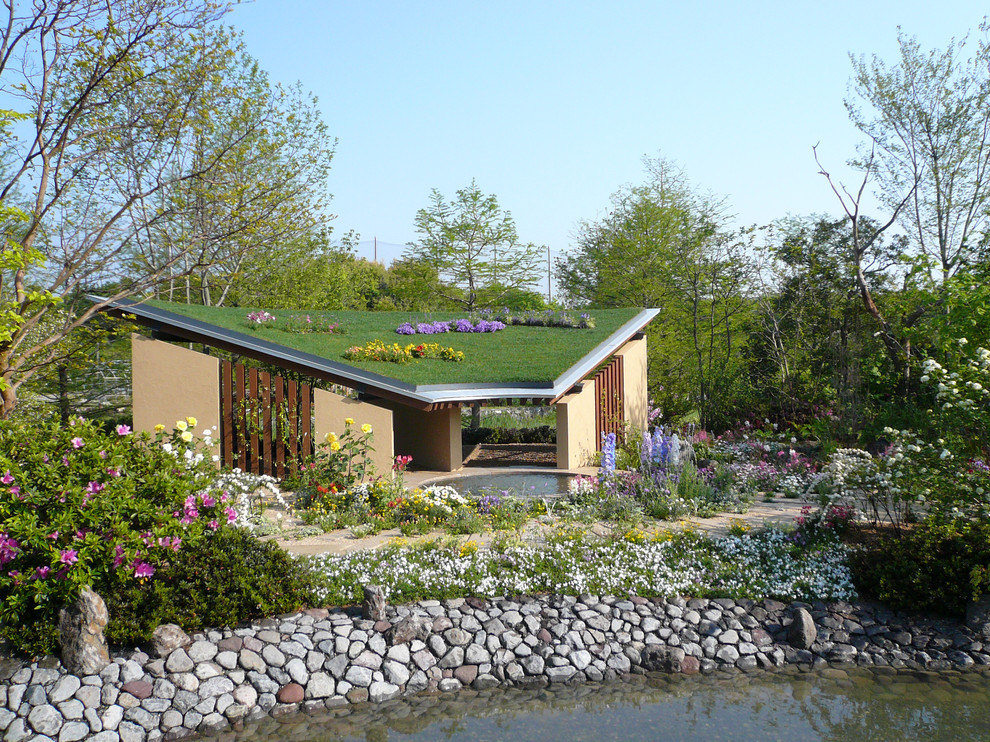 Cette image montre un jardin japonais asiatique avec une exposition ensoleillée.